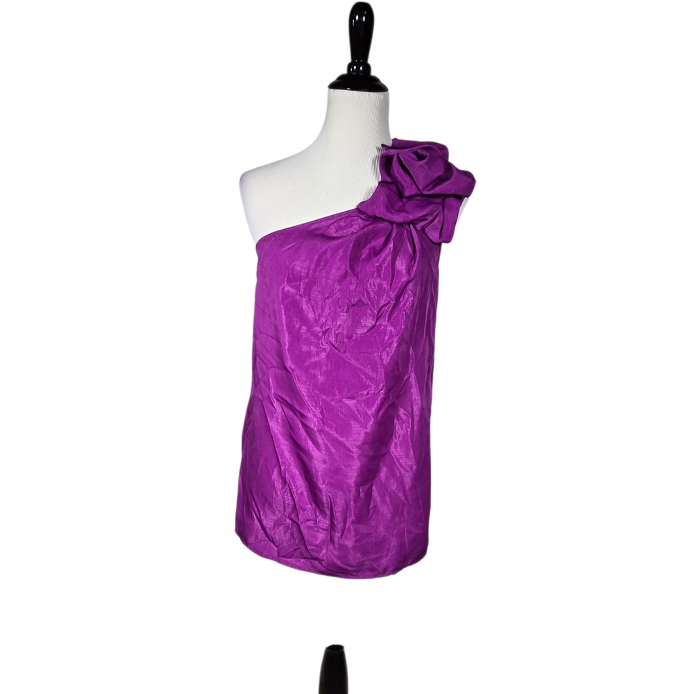 The Limited Medium Purple One Shoulder Ruffled Sleeveless Blouse